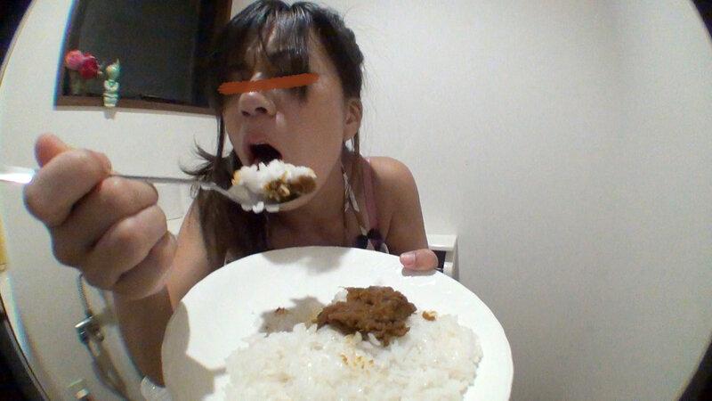 昨日食べた物をもう一度食べる！脱糞カレーライス！ サンプル画像 10