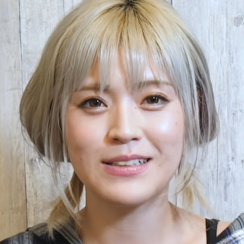 板垣あずさ - Wikipedia